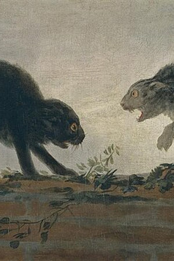 Francisco de Goya, «Riña de gatos», 1786-1787